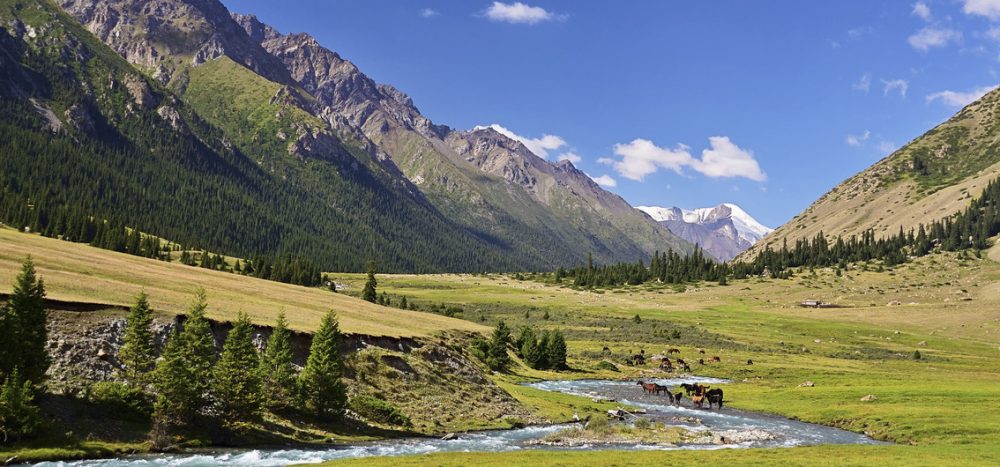 Bild für UNESCO-Weltnaturerbe Tien-Shan-Gebirge (Himmelsgebirge) - (11) - Credit Vladislav - stock.adobe.com