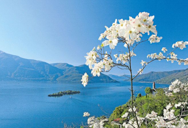 Bild für Lago Maggiore © Christof Sonderegger