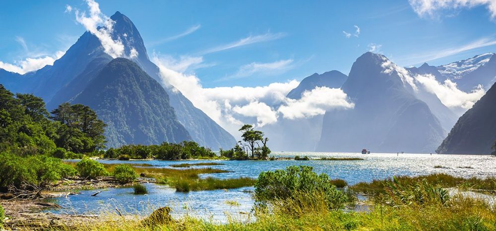 Bild für Neuseeland