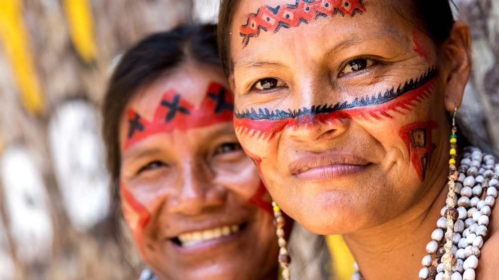 Bild für Brasilien - Amazonas