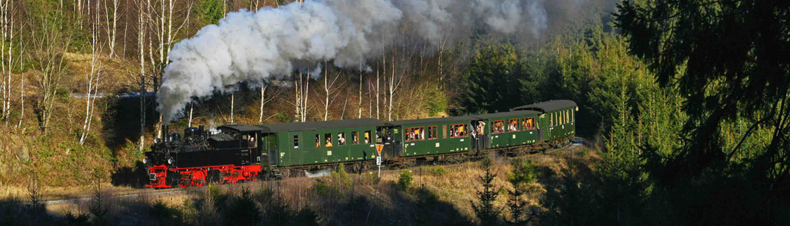 Bild für Bahnerlebnisreisen Harz Schmalspurbahn