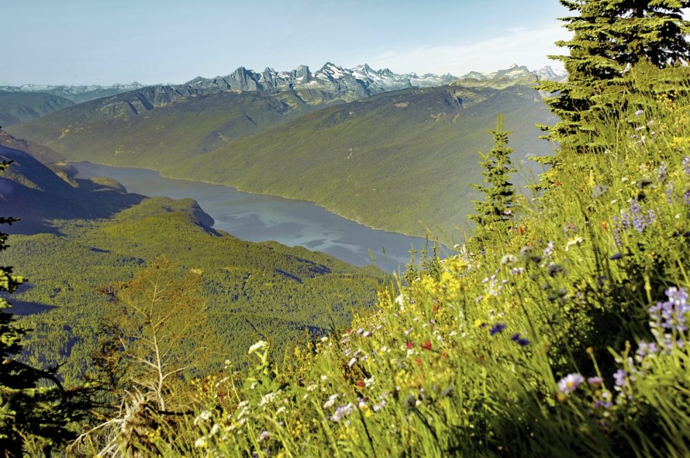 Bild für Selkirk Mountains