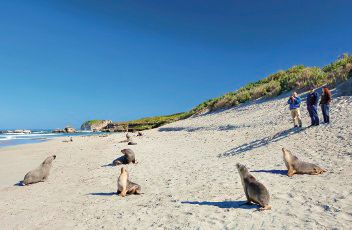 Bild für Kangaroo Island, Seal Bay