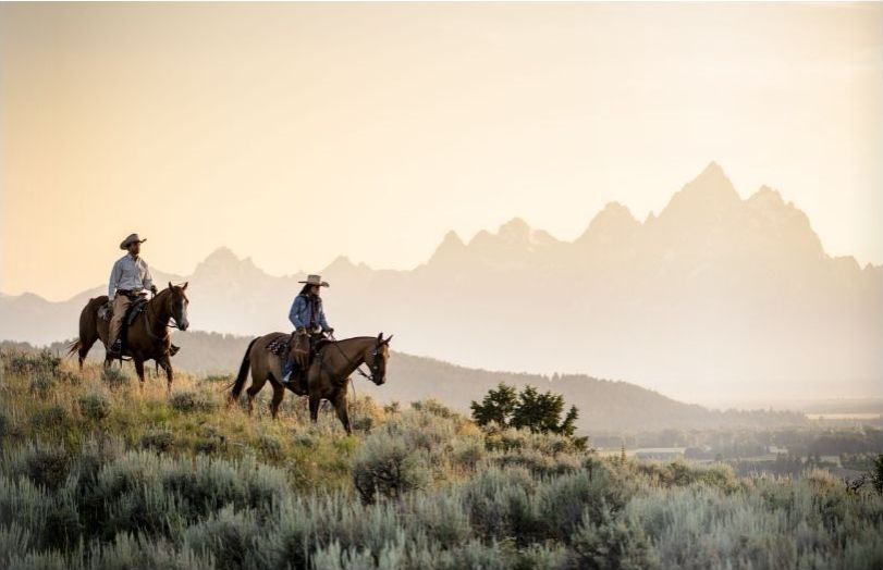 Bild für Reitausflug im Grand Teton Nationalpark