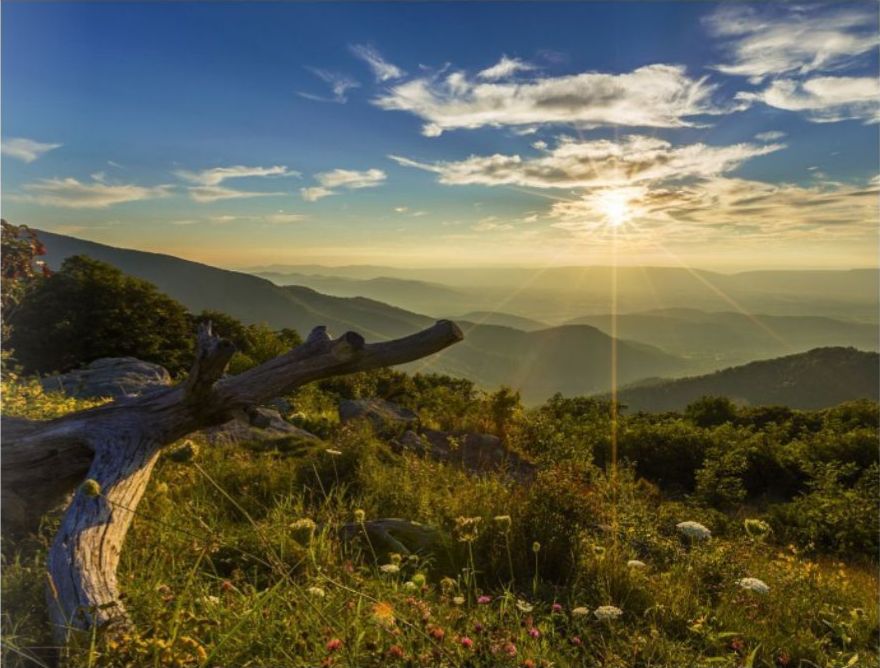 Bild für Shenandoah Nationalpark