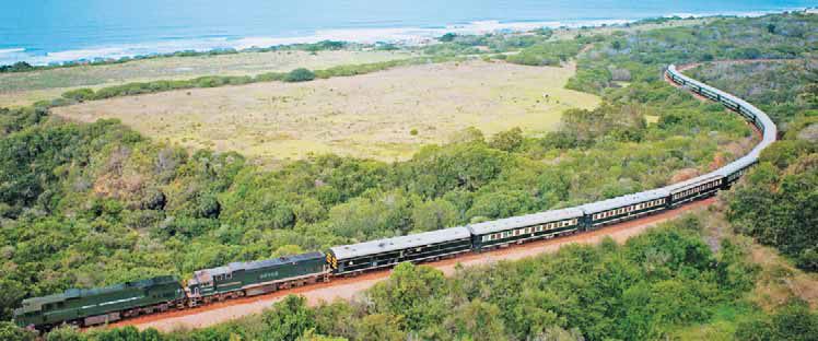 Bild für Shongololo-Express