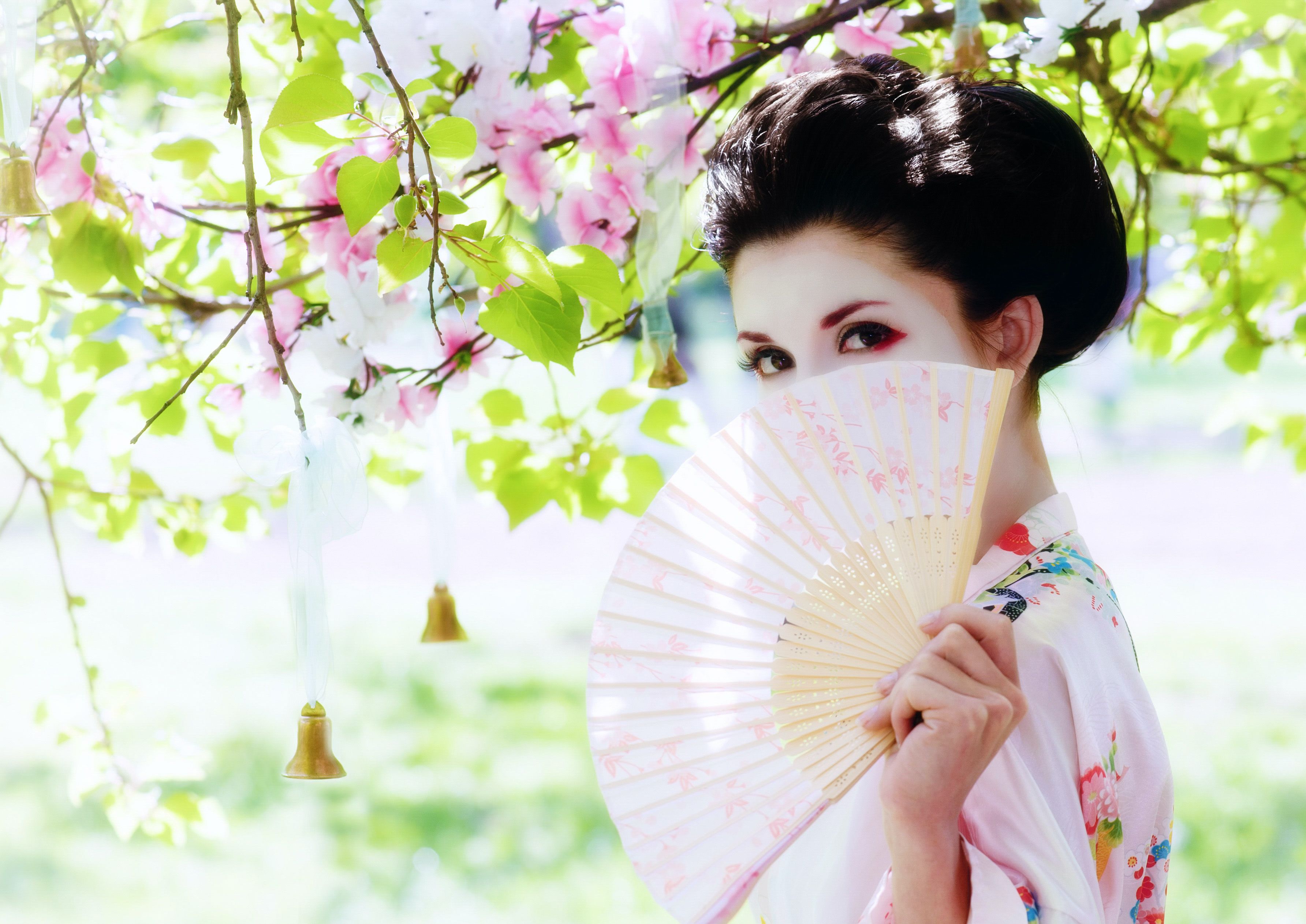 Bild für Geisha © rodjulian