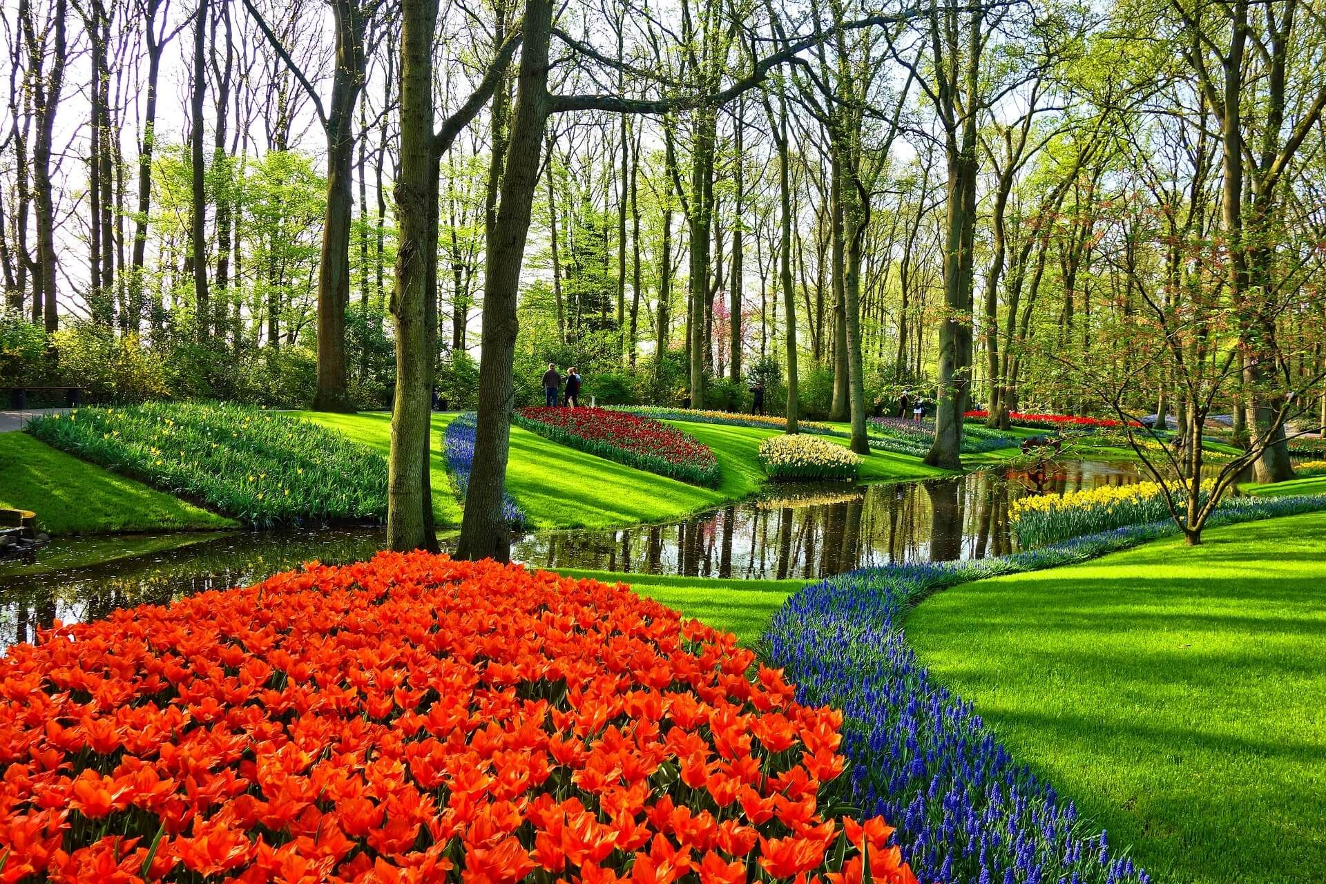 Bild für Keukenhof in Lisse