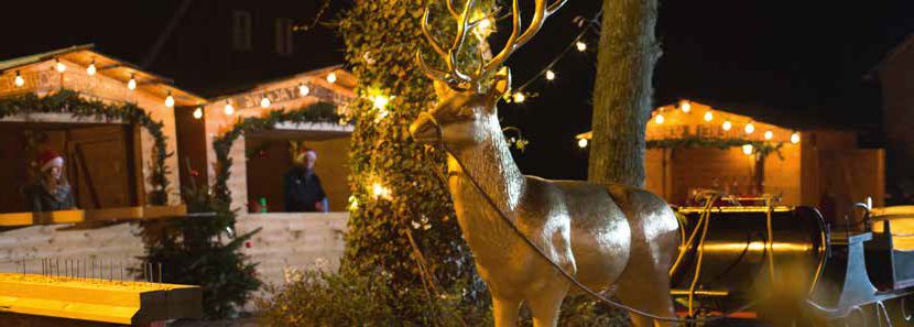 Bild für All-inclusive-Weihnachtsmarkt auf dem Hof Beverland