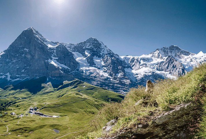 Bild für Kleine Scheidegg mit Blick auf Mönch und Jungfrau