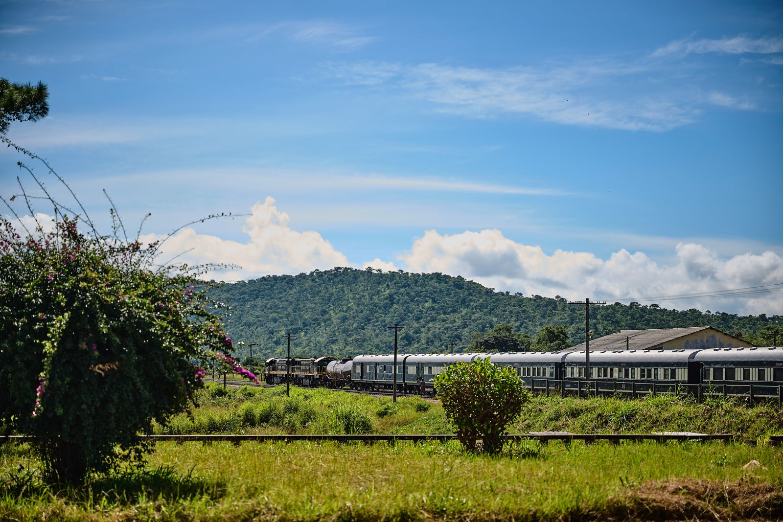 Ihr Sonderzug von Rovos Rail © Torsten Ruppert