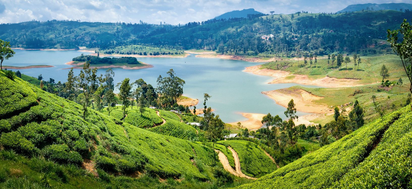 Teeplantage bei Nuwara Eliya © Kennymax, stockadobe