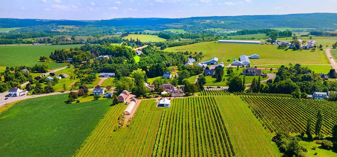 Grand Pre-Winery Kanada © Tourim Nova Scotia, daveyandsky