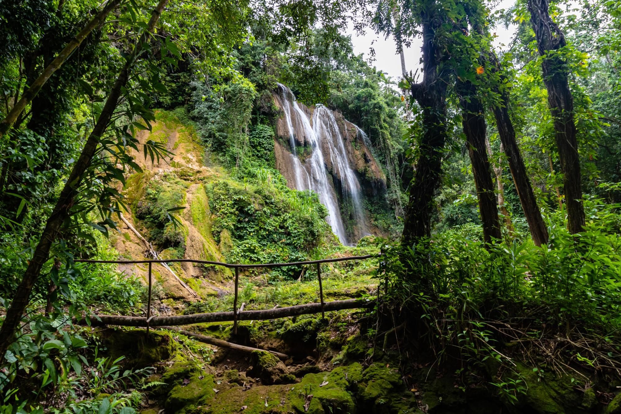 Guanayara Nationalpark