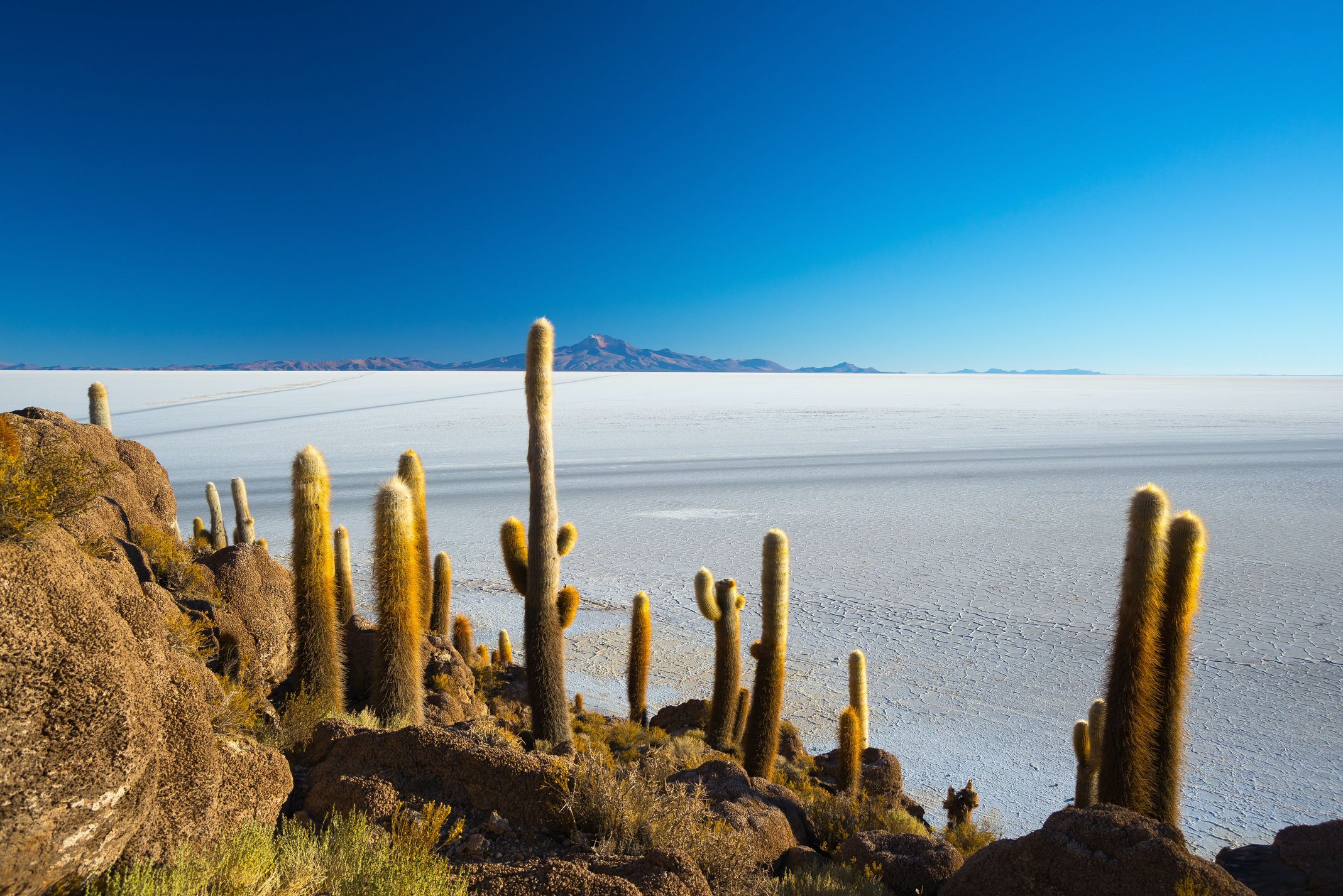 Salzwüste Salar de Uyuni © fabio lamanna, stockadobe