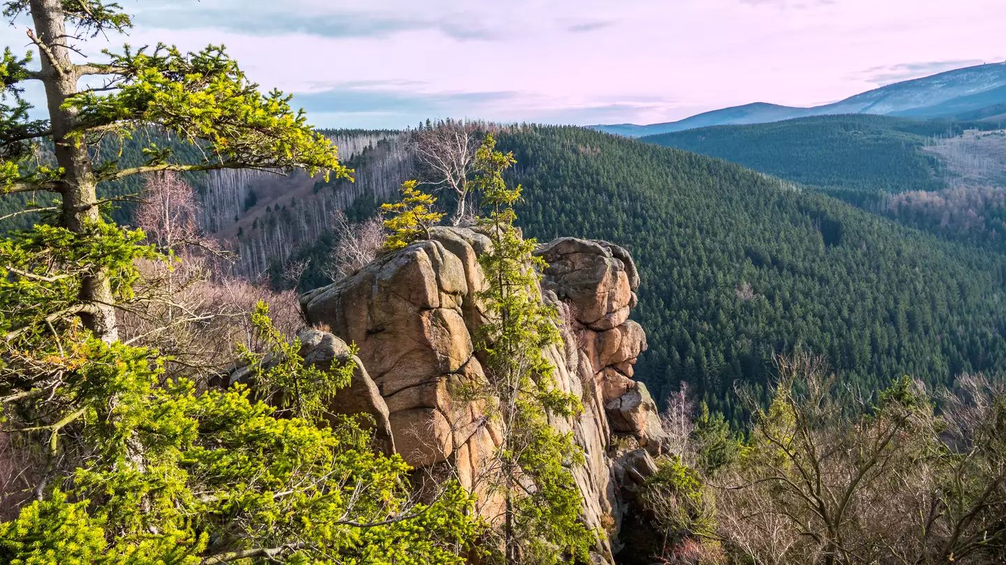 Blick über die Landschaft des Naturschutzgebietes Harz © animafiora, Gettyimages