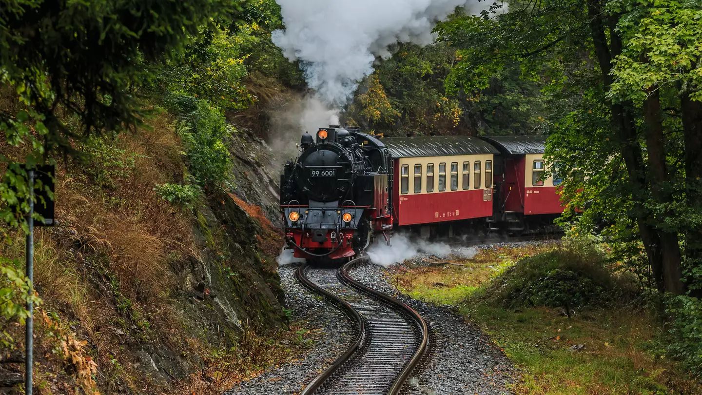 Brockenbahn im Harz © Marco Ritzki, Gettyimages