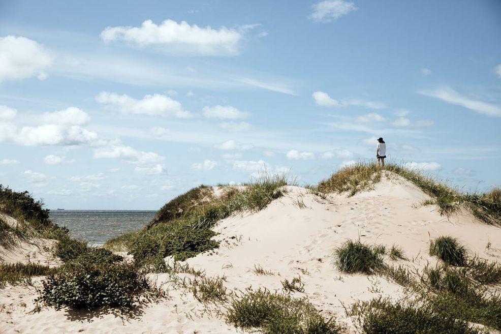 Halland, Dünen © Alexander Hall