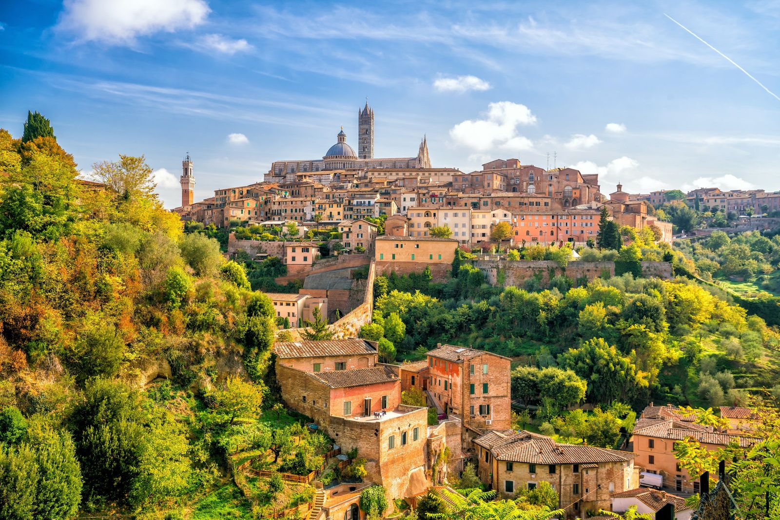 Siena © f11photo, stockadobe
