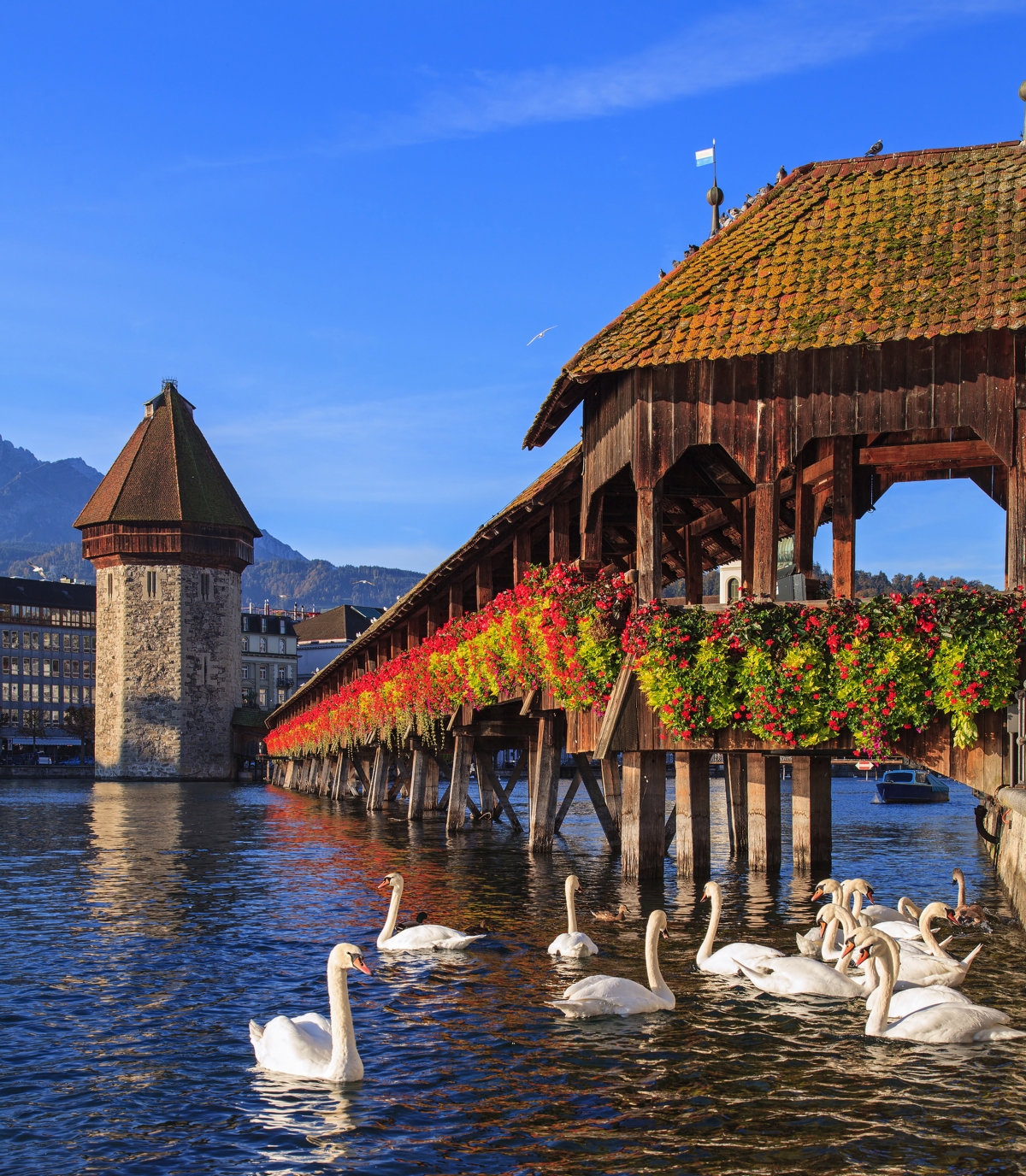 Die Kapellbrücke ist das Wahrzeichen der Stadt Luzern in der Schweiz