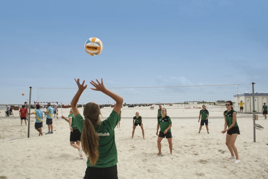 Volleyball-, Handball-, Soccer-Contest