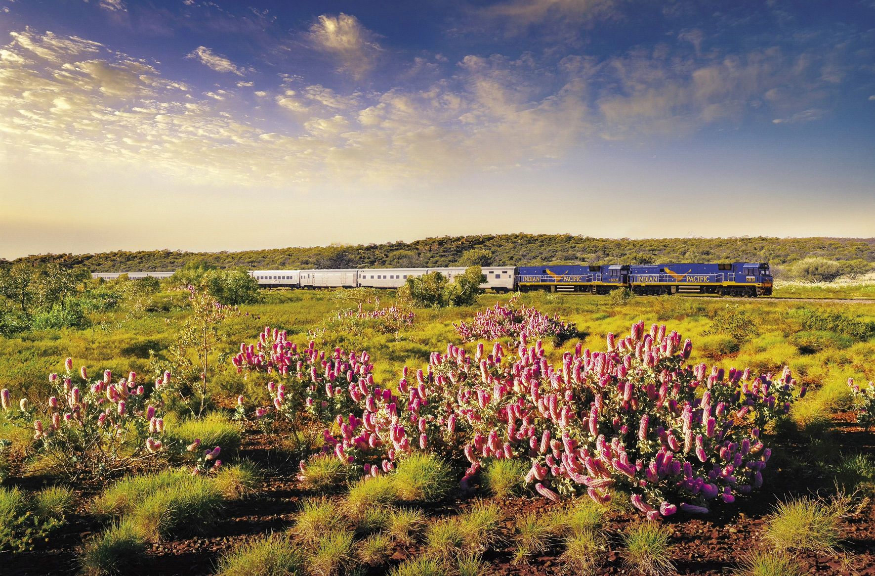 Der Indian Pacific © Credit Great Southern Rail