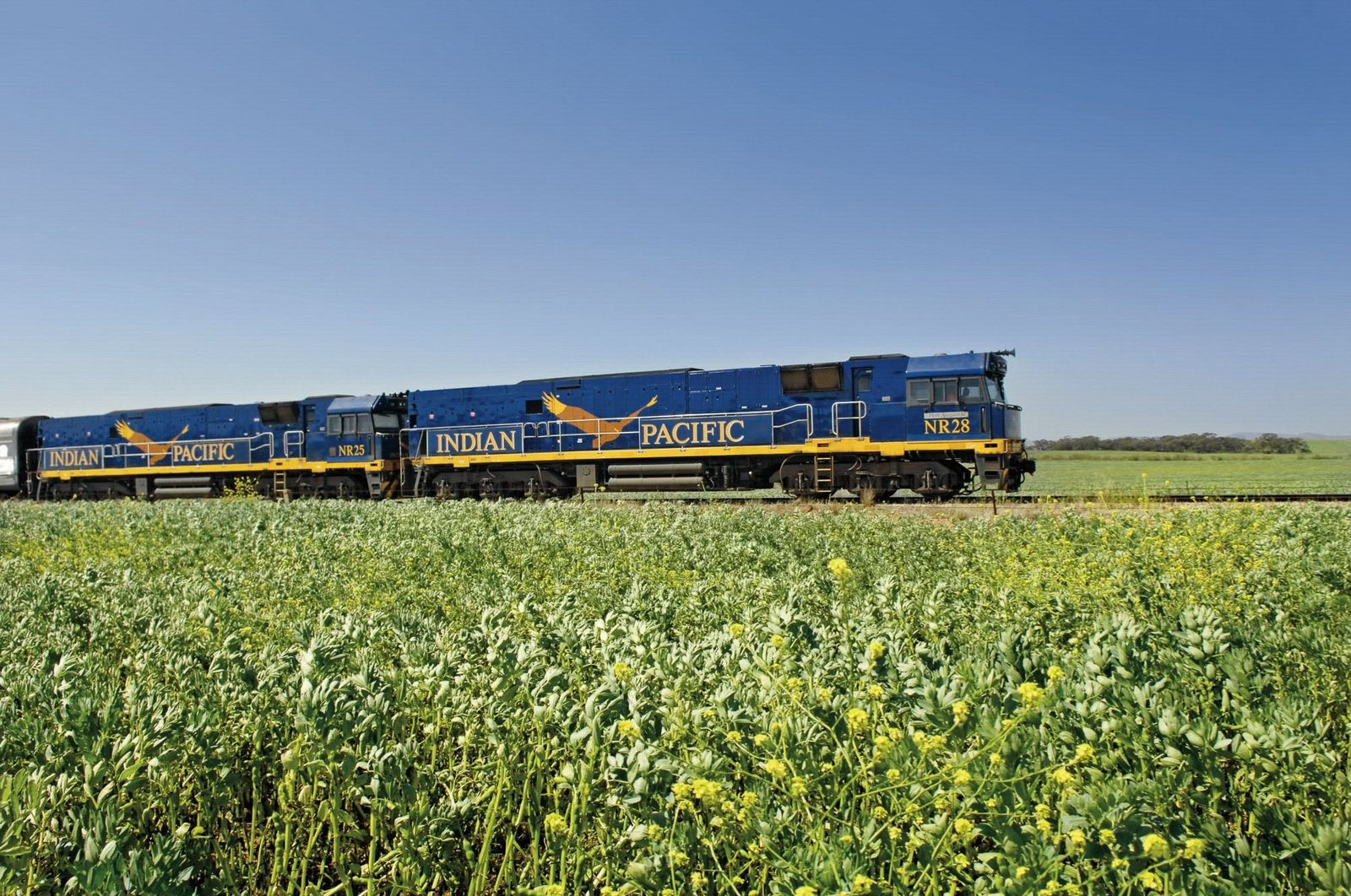 Indian Pacific © Steve Strike