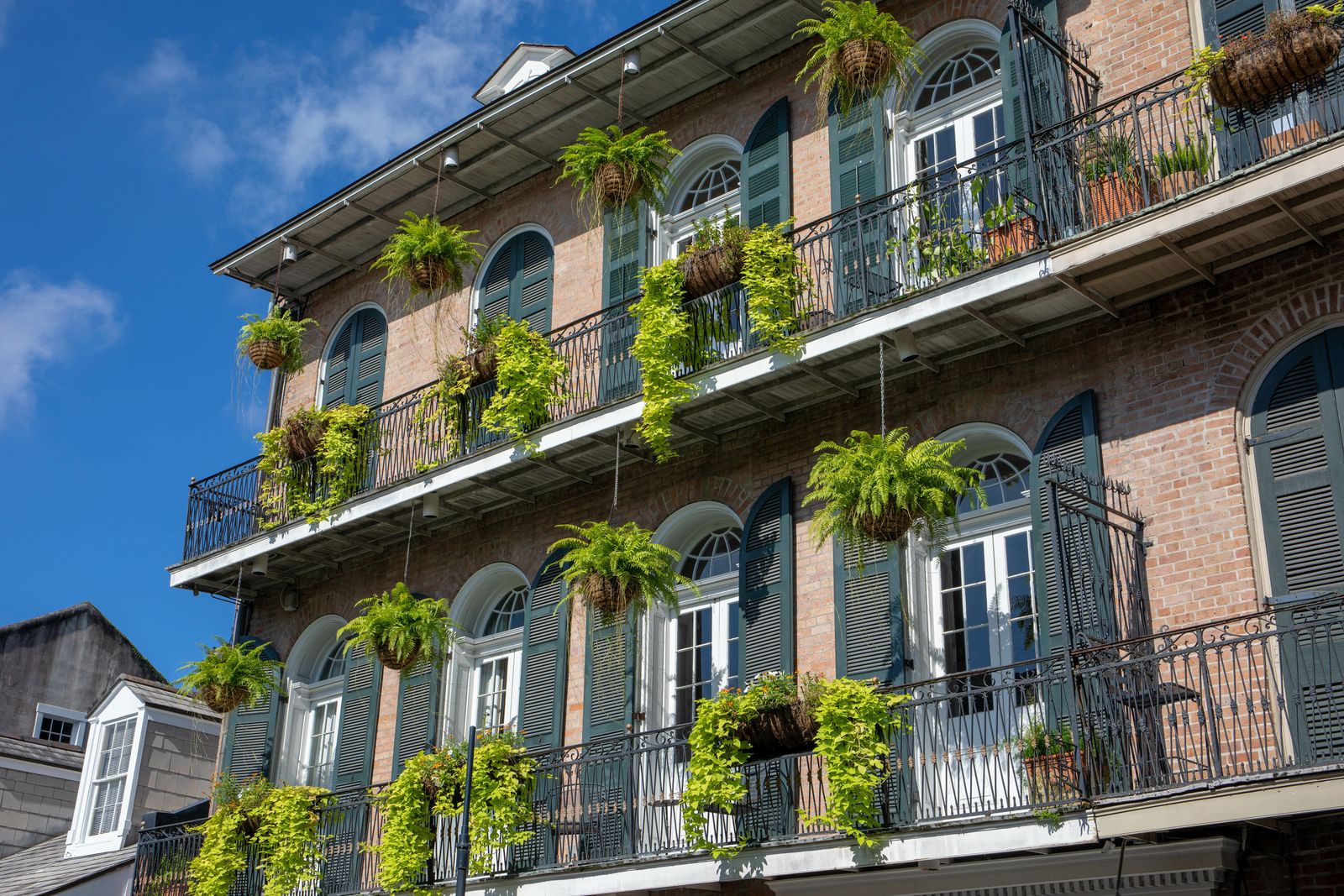 Fasade im französischen Viertel von New Orleans © evenfh, stockadobe