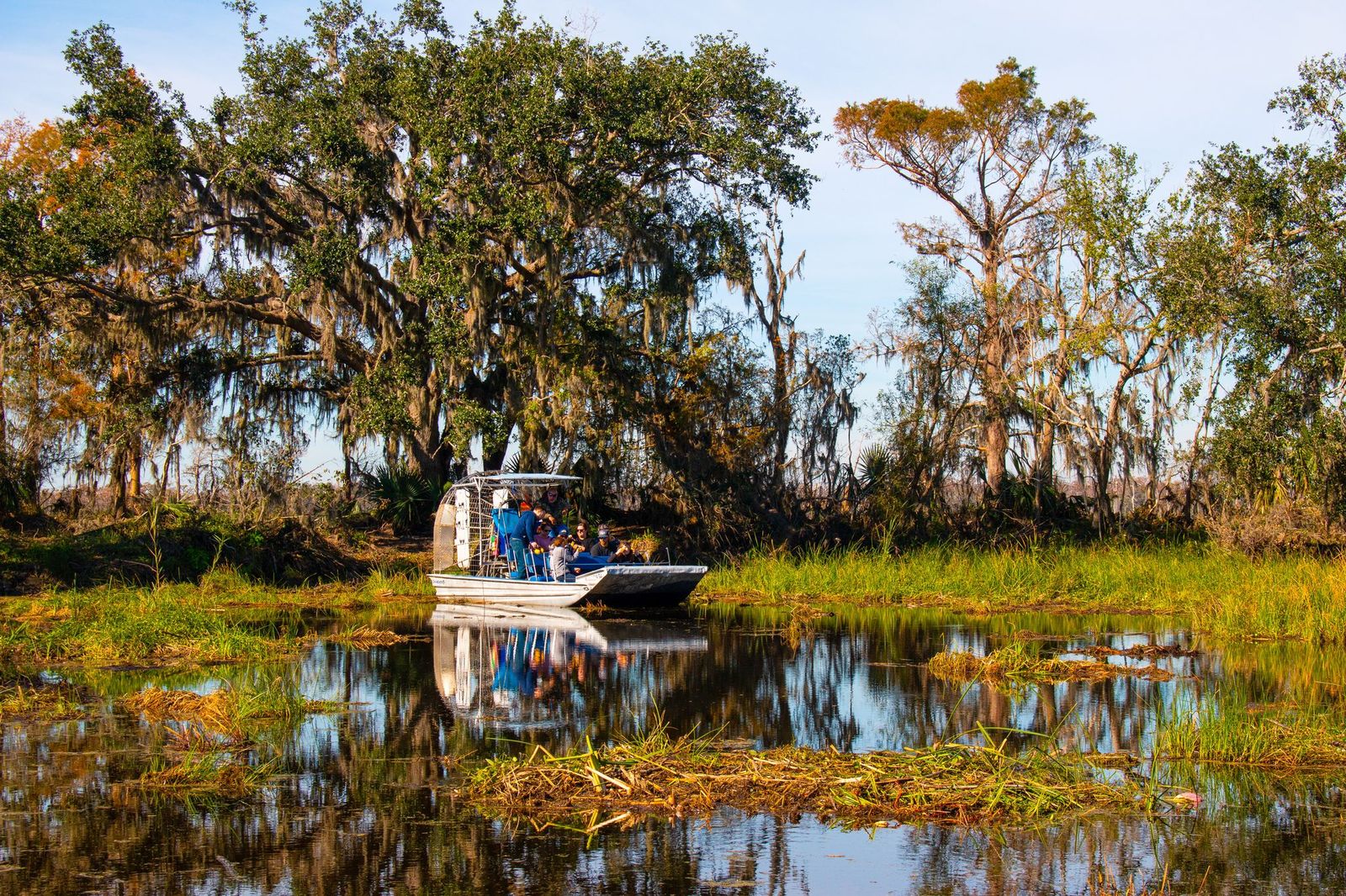 Per Boat durch die Sümpfe Louisianas © Alena V, stockadobe