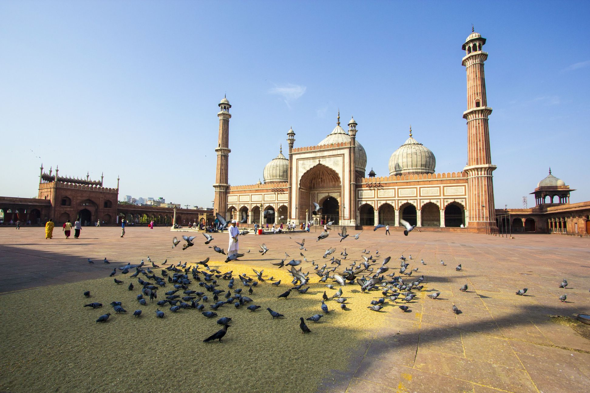 Jama Masjid-Moschee in Delhi © travelview, stockadobe