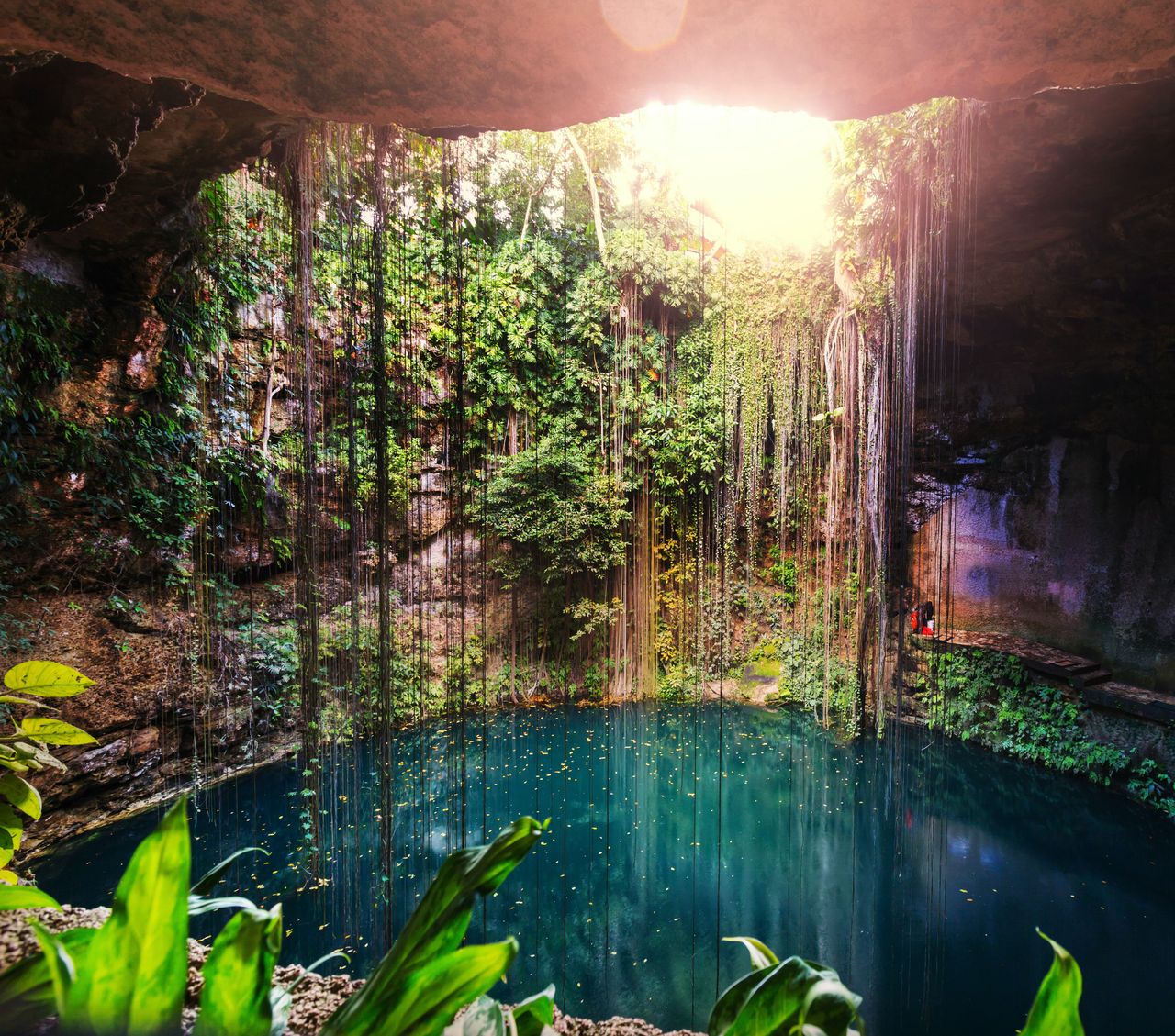 Cenote im Regenwald Yucatáns © Galyna Andrushko, stockadobe
