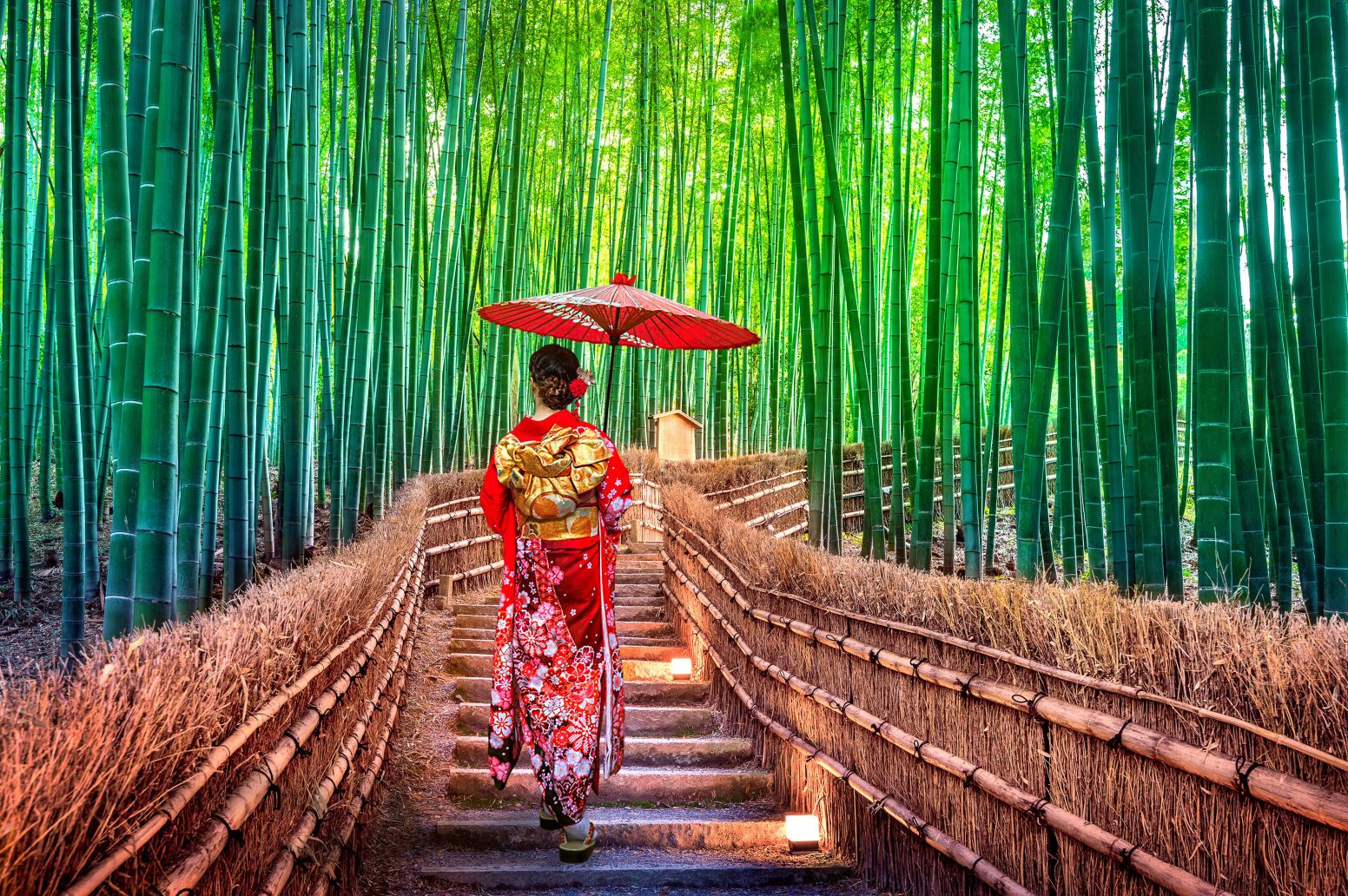 Bambuswald in Kyoto © tawatchai1990