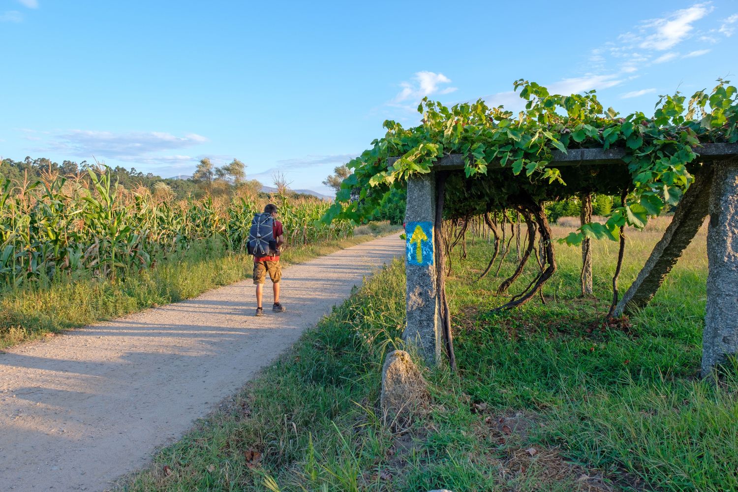Wanderer auf dem Jakobsweg © Martin Schütz