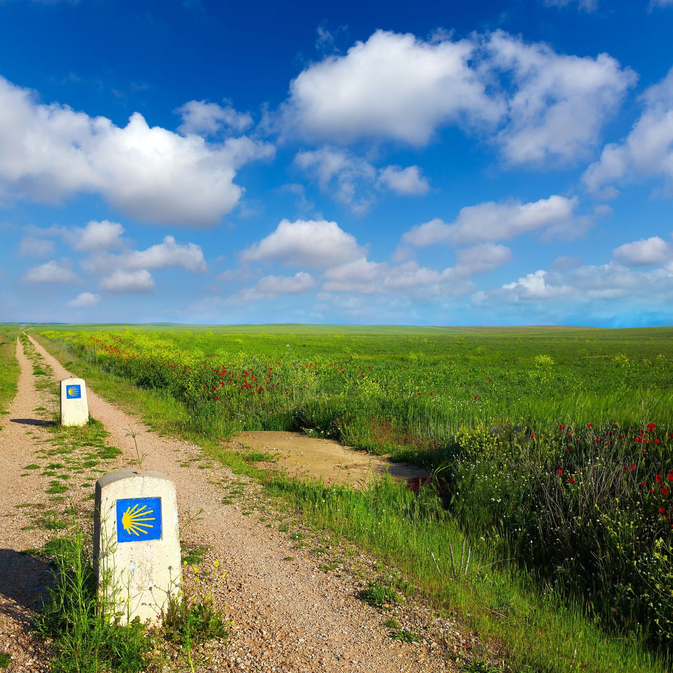 Wegweiser auf dem Jakobsweg © lunamarina