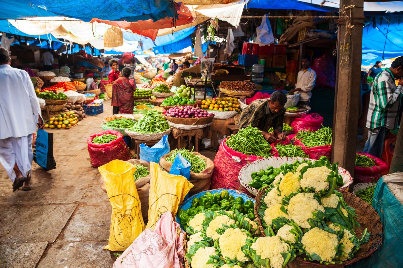 Auf dem Gemüsemarkt © saiko3p, stockadobe