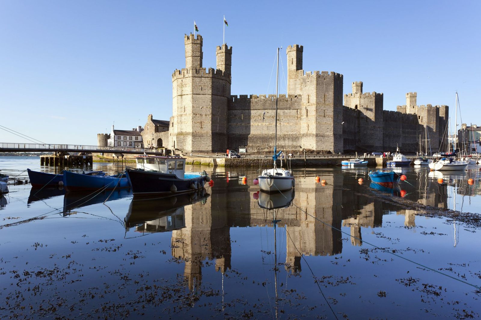Die Burgruine Caernarfon Castle gehört zum UNESCO-Weltkulturerbe © eyewave, stockadobe