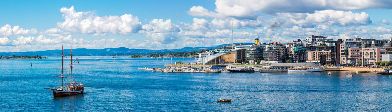Skyline und Hafen von Oslo © Sergii Figurnyi