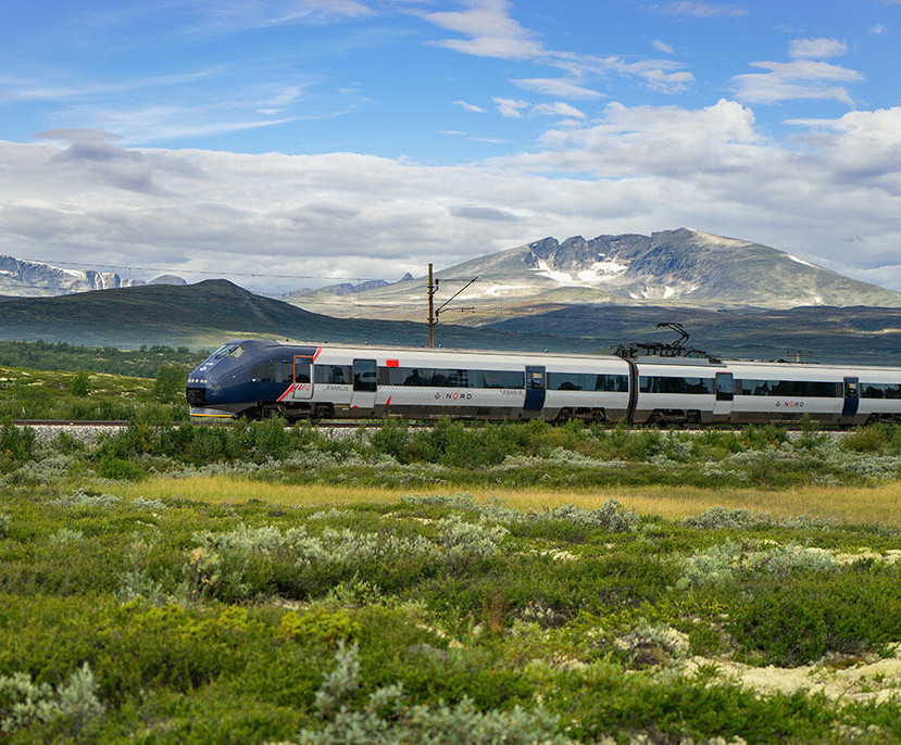Per Zug und Schiff durch Fjord und Fjell