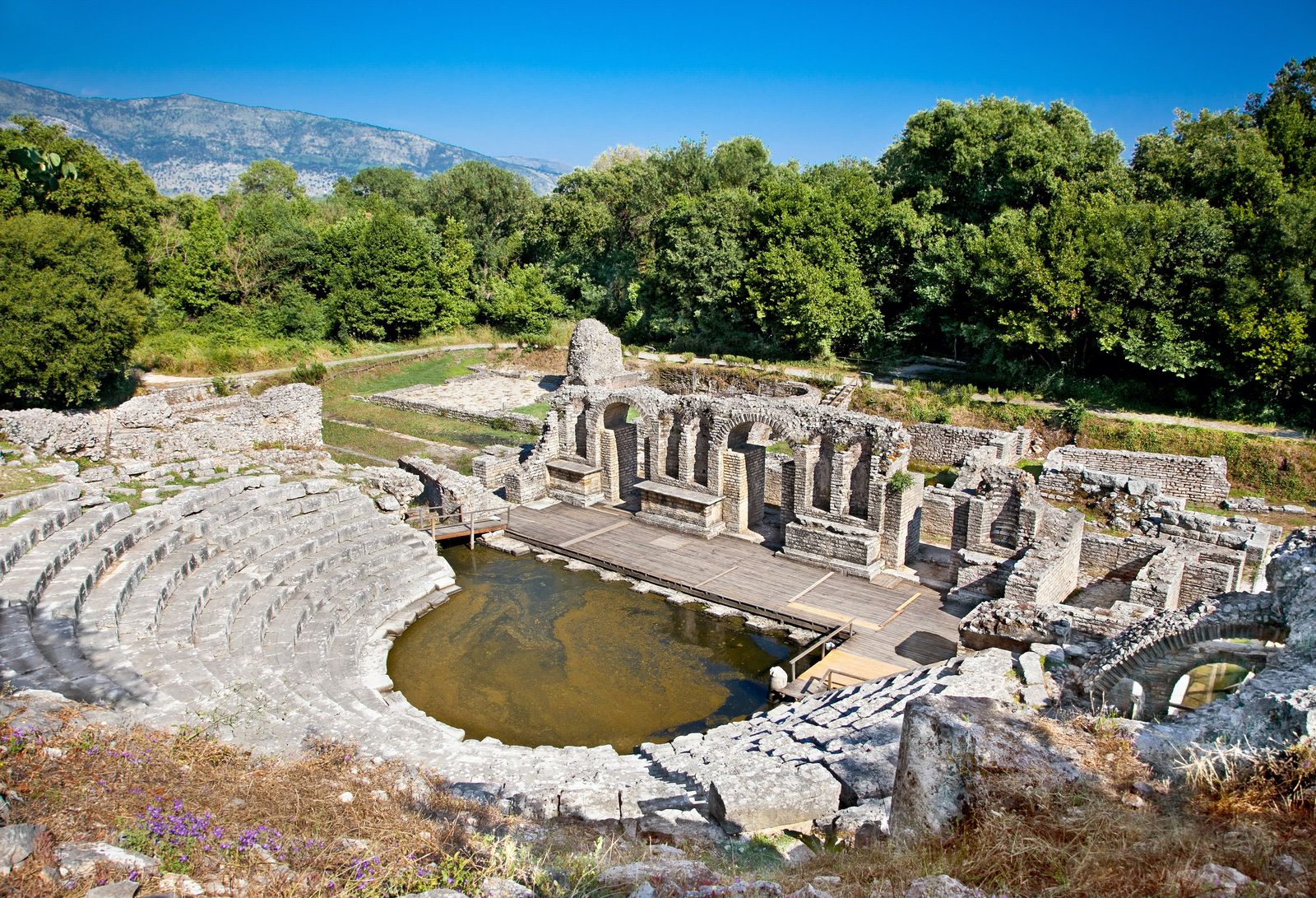 Amphitheater in der antiken Ruinenstadt Butrint © Aleksandar Todorovic, stockadobe