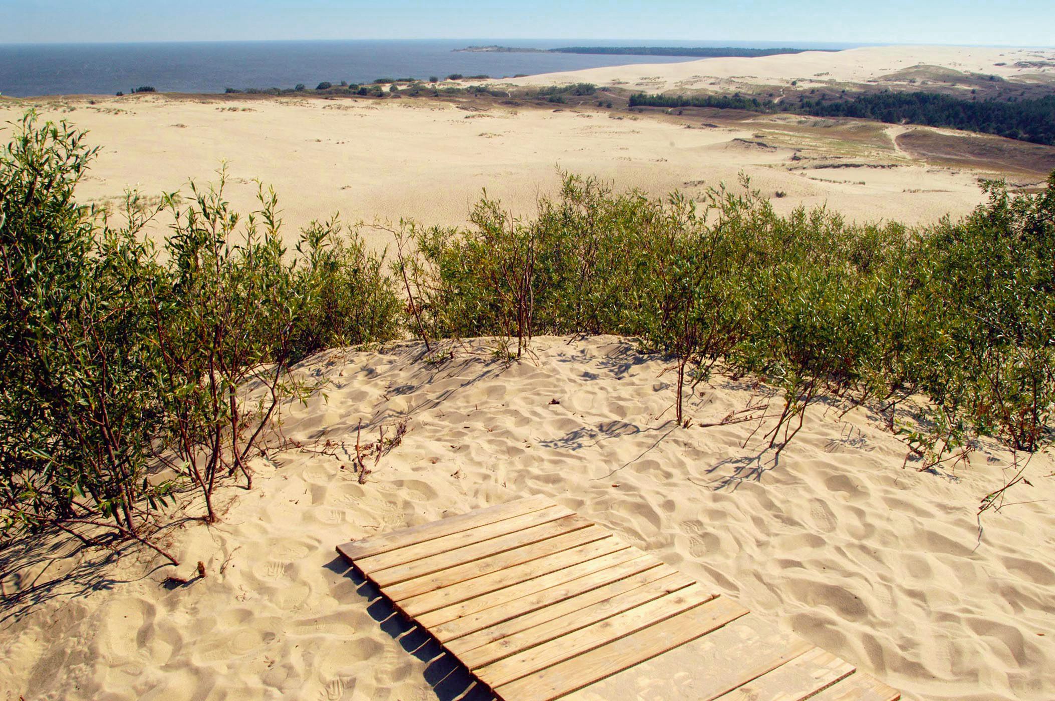 Kurische Nehrung © Christian Thiel