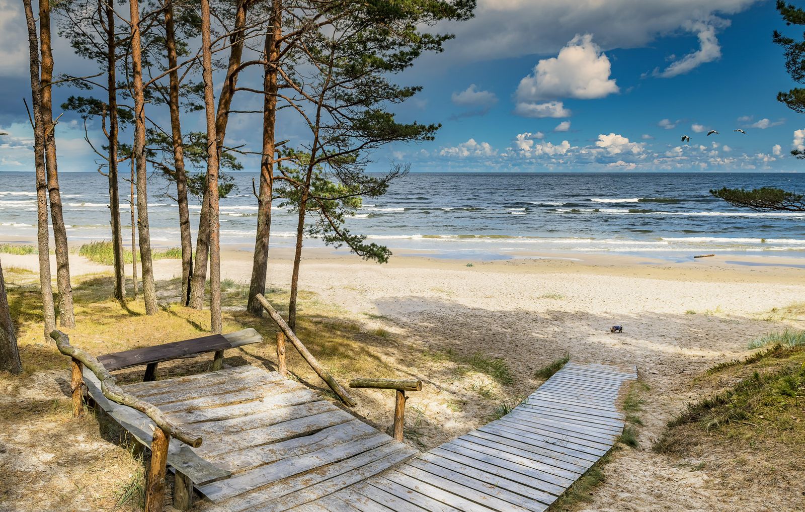 Strand von Jurmala © sergei_fish13, stockadobe