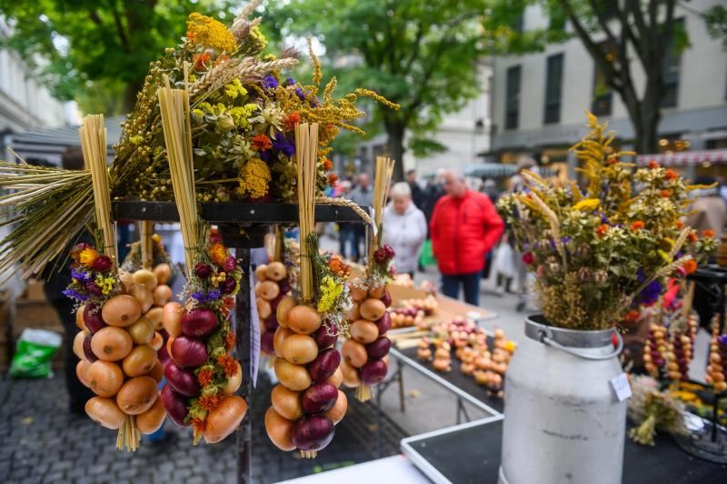 Zwiebelmarkt-Weimar © Maik Schuck