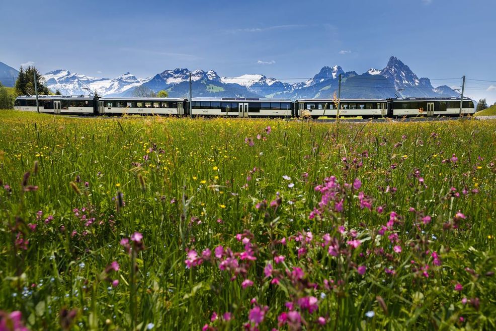 Bild für GoldenPass Line