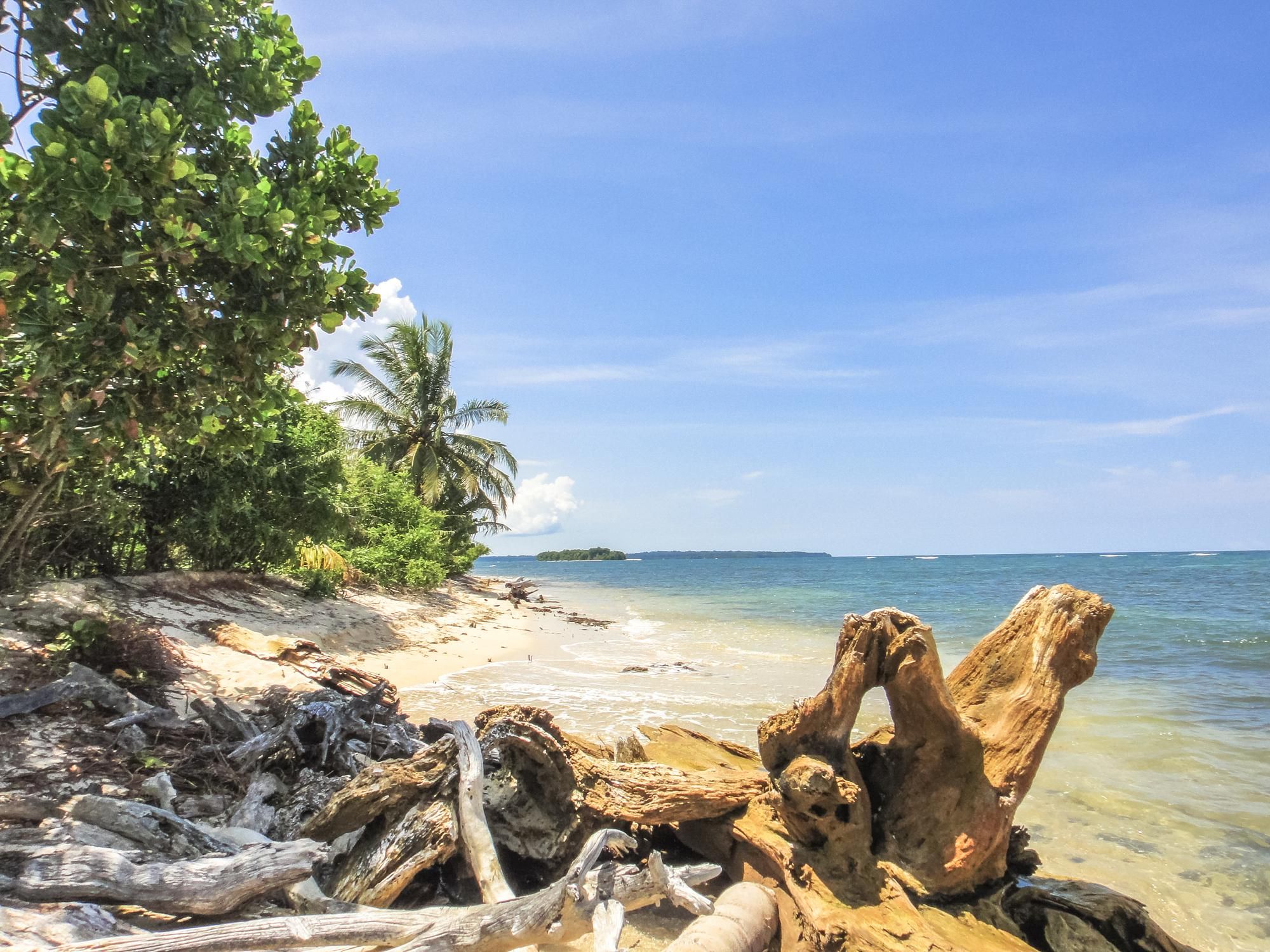 Bild für Panama, Strand am Pazifik