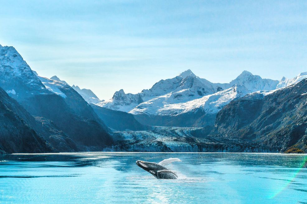 Bild für Alaska, Glacier Bay © Maridav, stockadobe