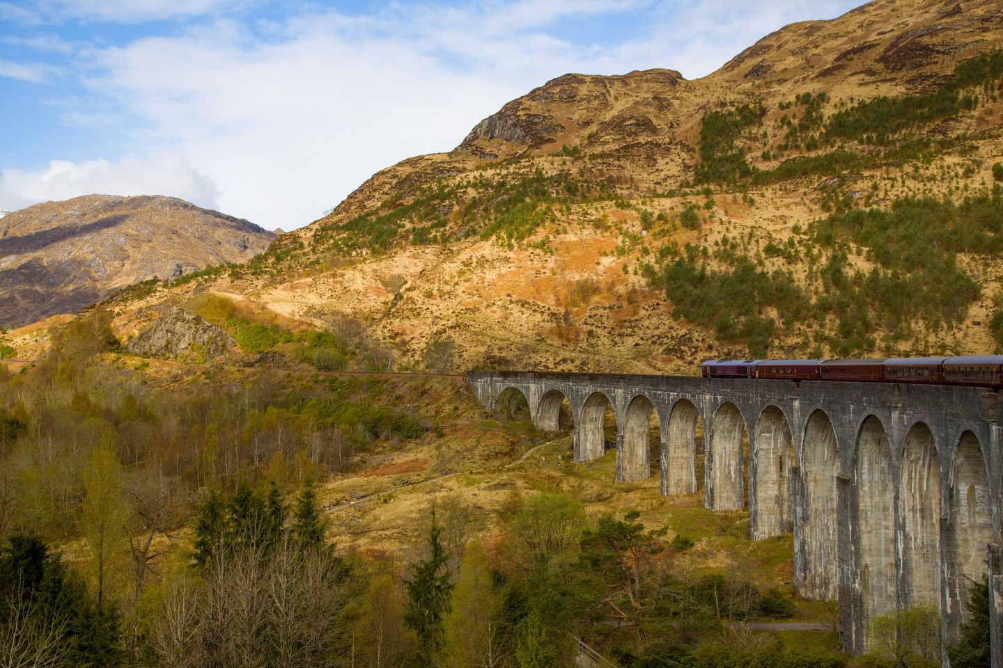 Bild für Der Royal Scotsman © Sue Flood