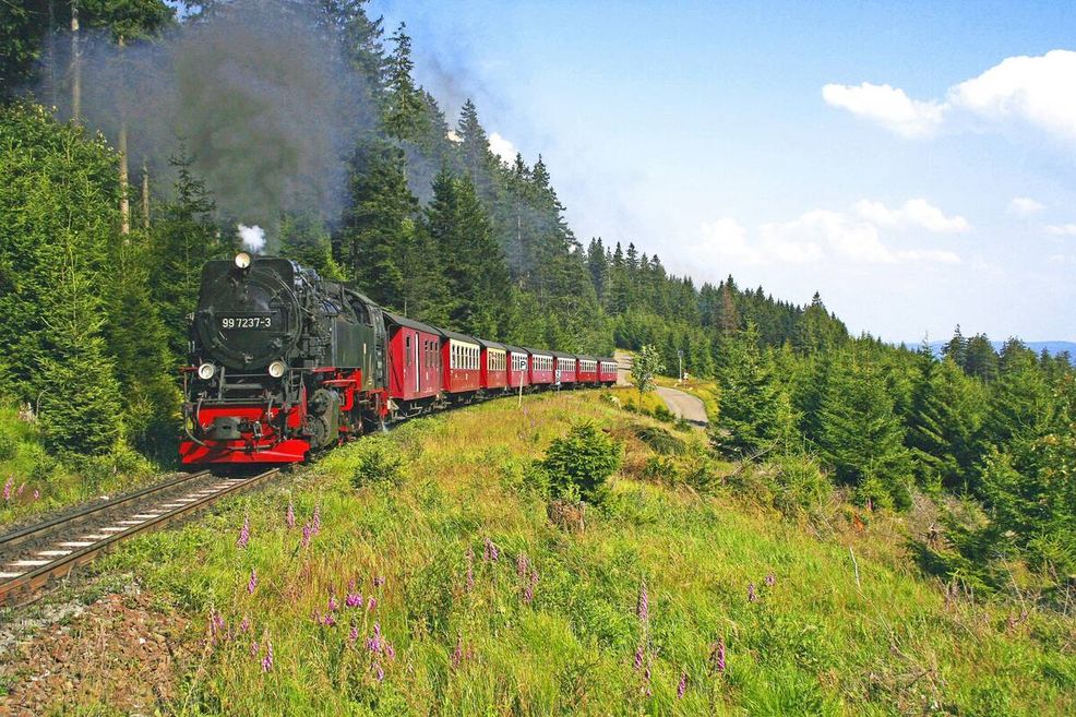 Bild für Harzer Schmalspurbahn