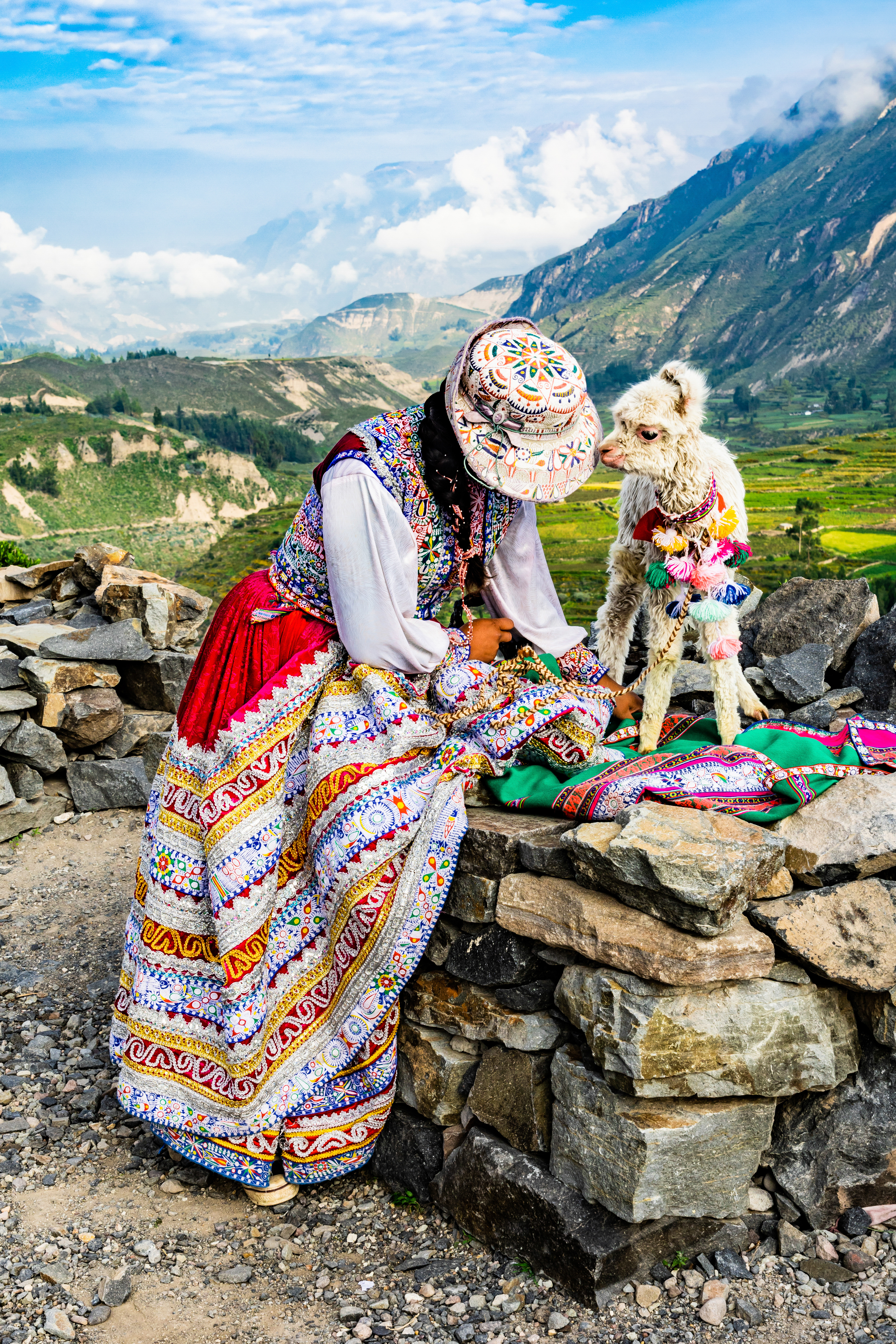Bild für Peruanerin mit Alpaka-Nachwuchs in den Anden © Knipsersiggi, stock adobe com