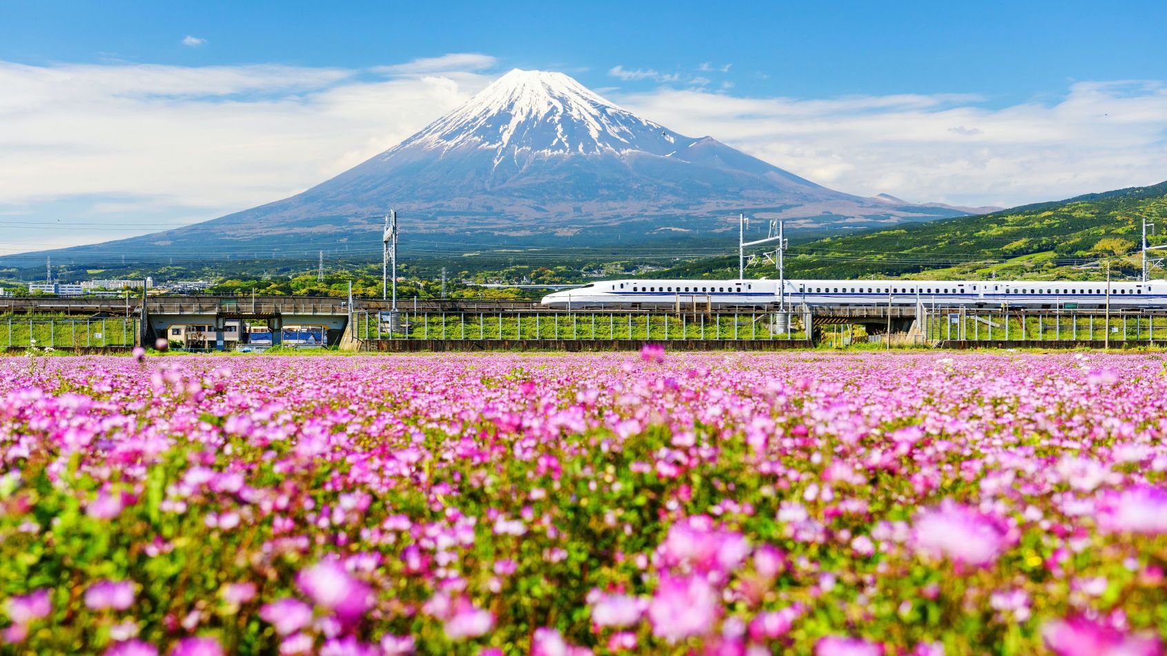 Bild für Der Shinkansen-Express am Fuße des Fuji © Blanscape