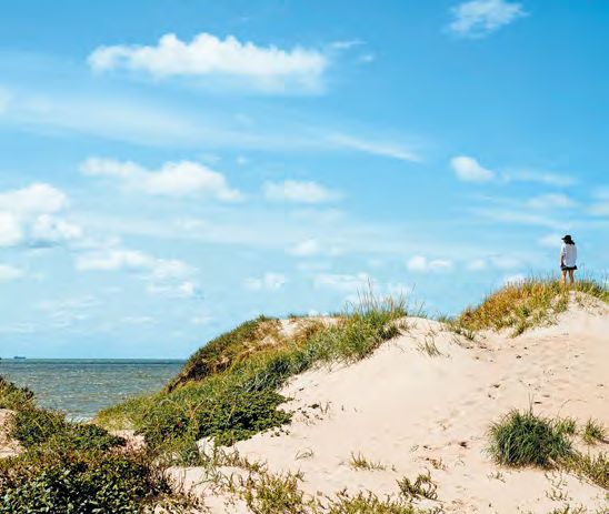Bild für Halland, Dünen © Alexander Hall